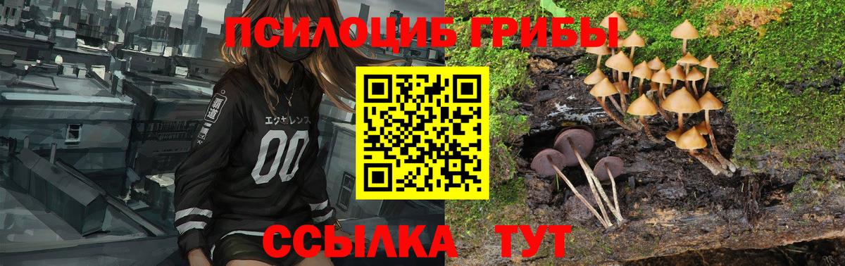 Псилоцибиновые грибы Magic Shrooms  Вход с VPN  Славянск-на-Кубани 